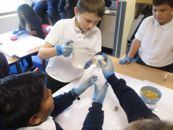 Year 6 Practical Science Investigation   Blood 3