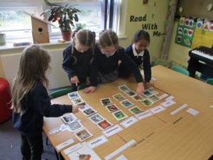 Year 1 Science Classifying
