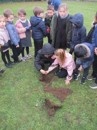 Y1 Tree Planting