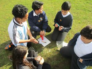 Year 6 Fieldwork 3