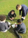 Year 6 Fieldwork