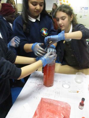 Year 6 Practical Science Investigation   Blood 2